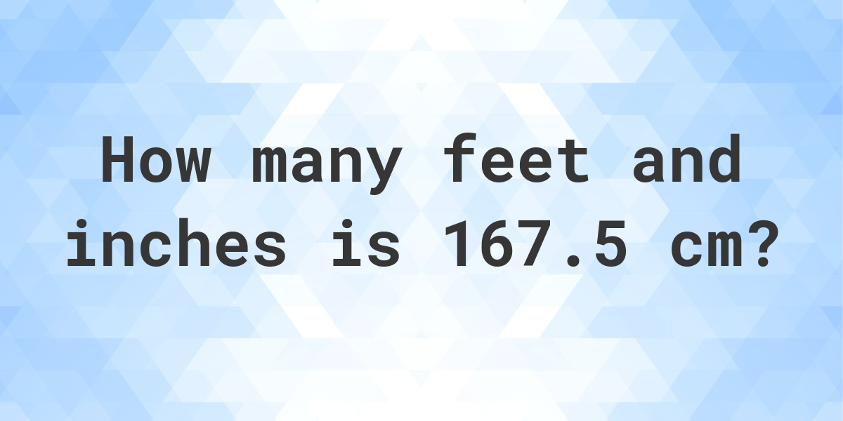 167.5cm in feet