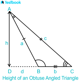 properties of obtuse angle