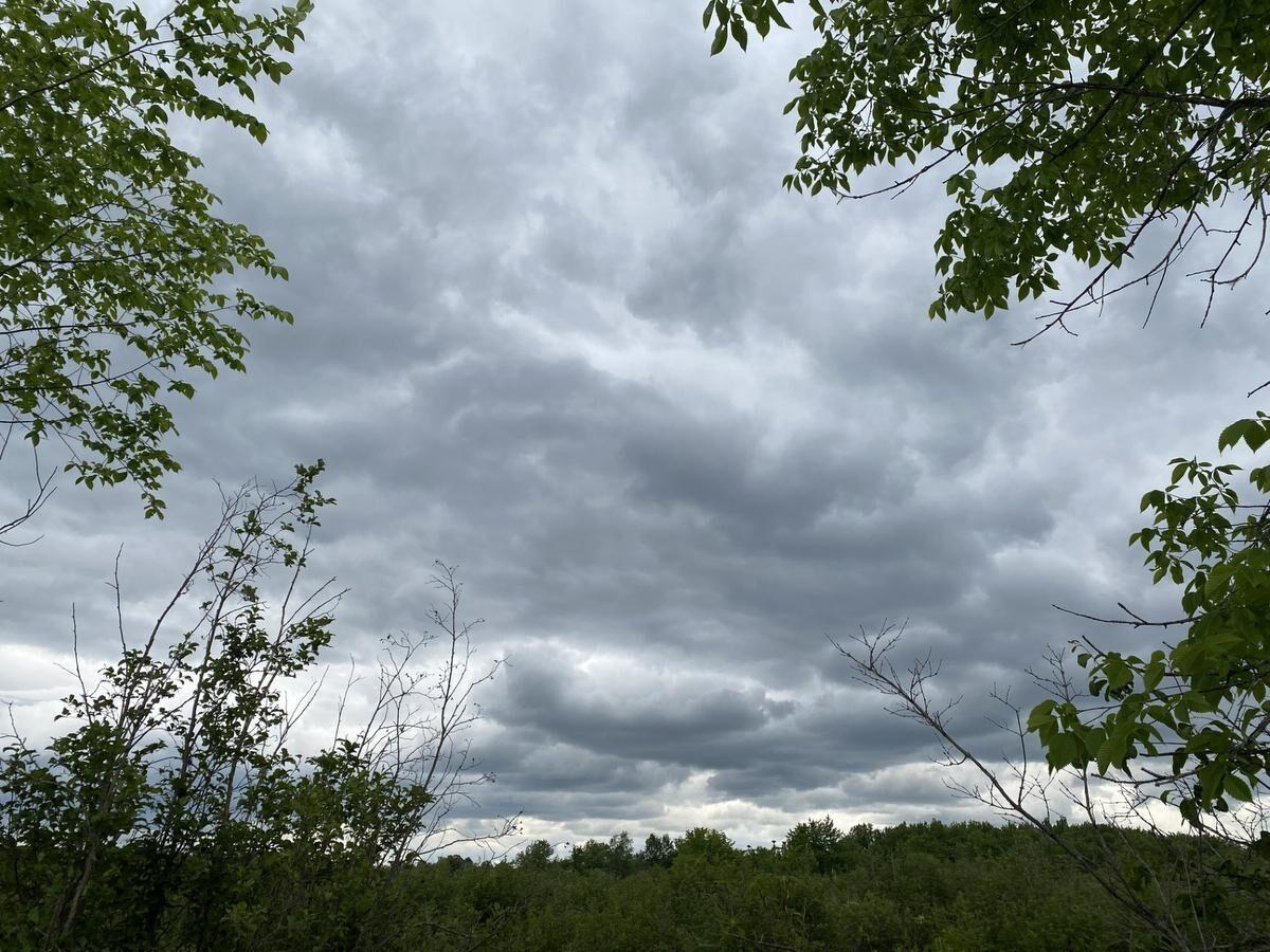 environment canada peterborough