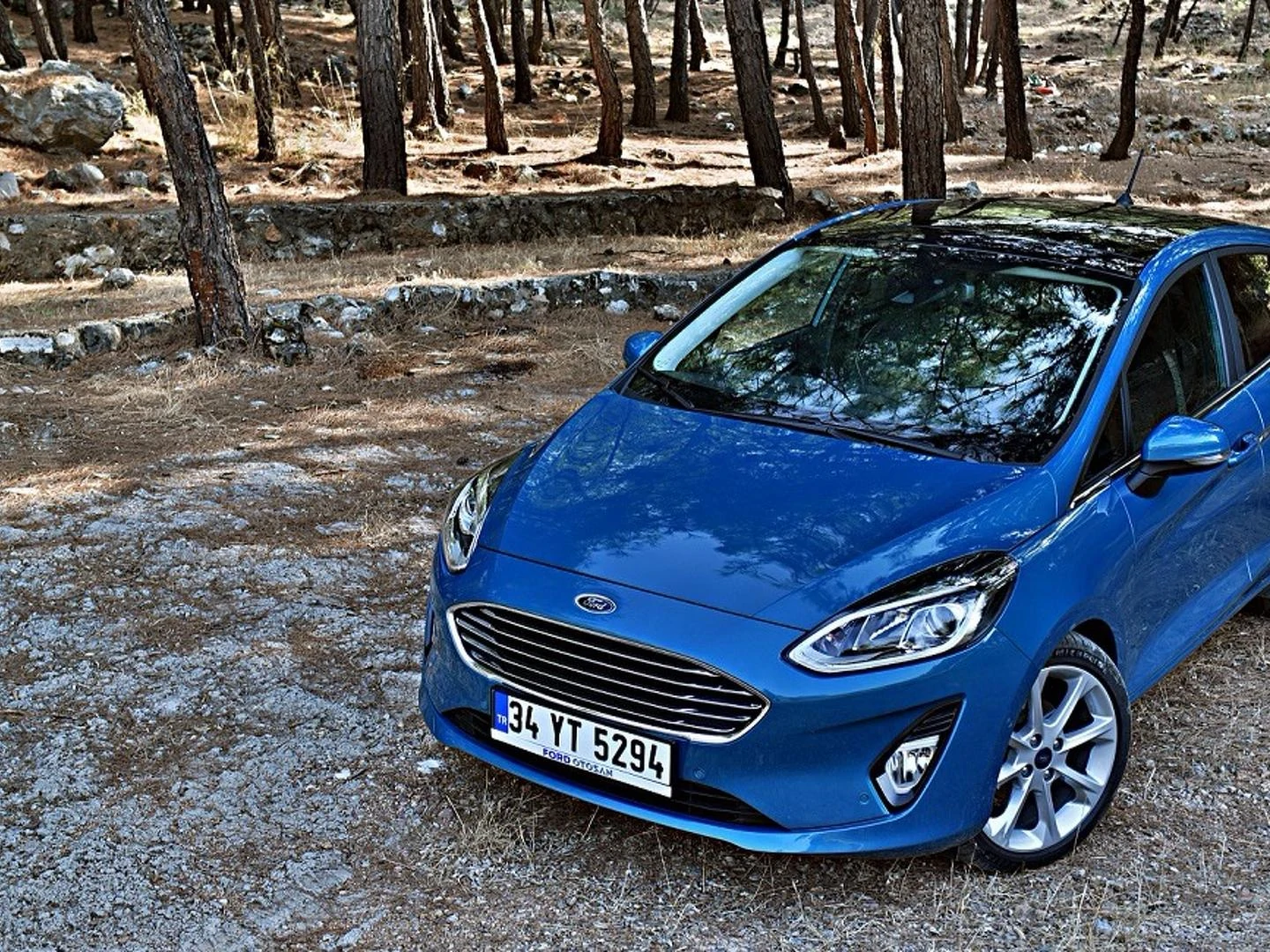 ford fiesta 1.1 yorum