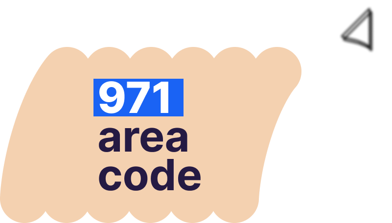 telephone area code 971