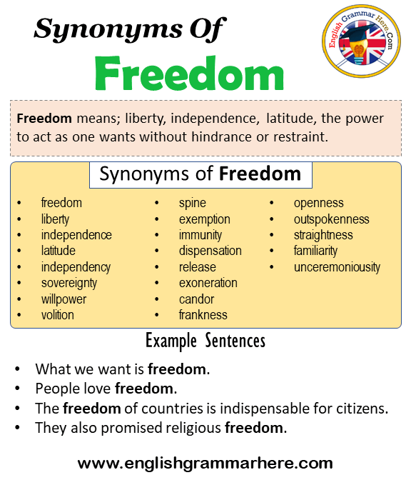 openness synonym