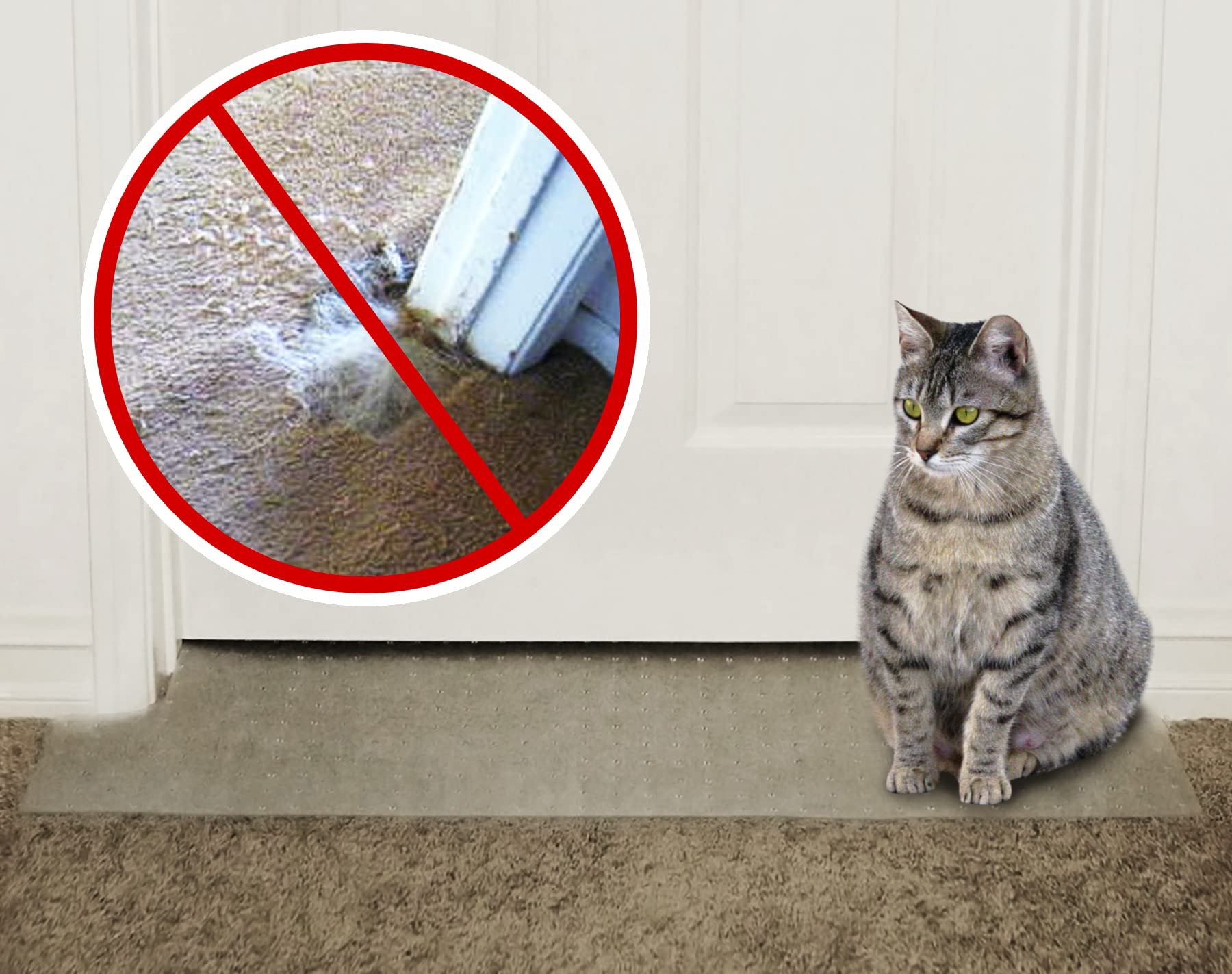 stop cat scratching door