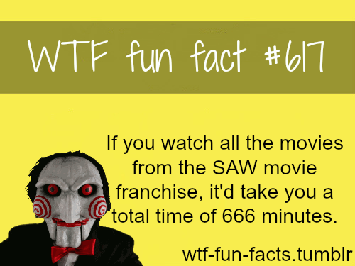 wtf fun facts tumblr