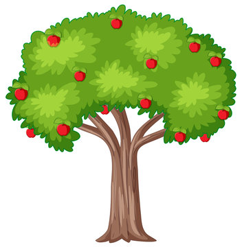 tree with fruits clip art