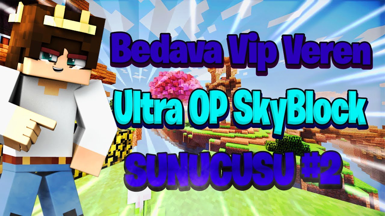 minecraft bedava vip server