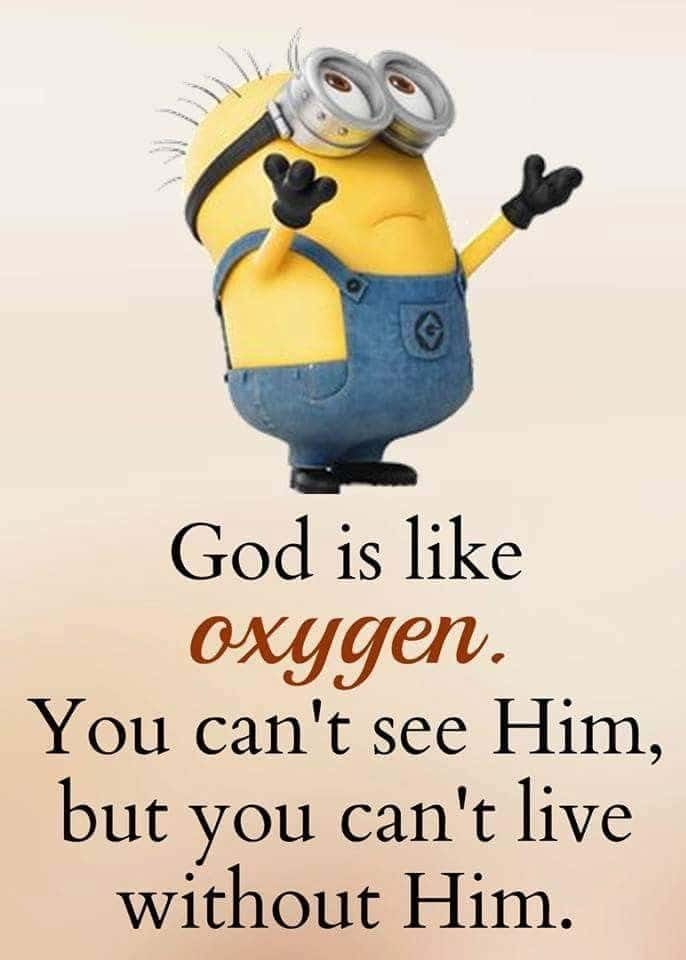 funniest minion quotes