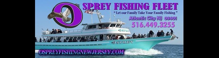 njfishing.com saltwater