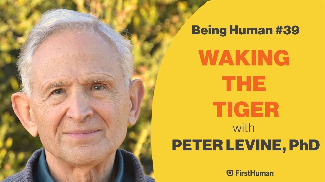 waking the tiger peter levine