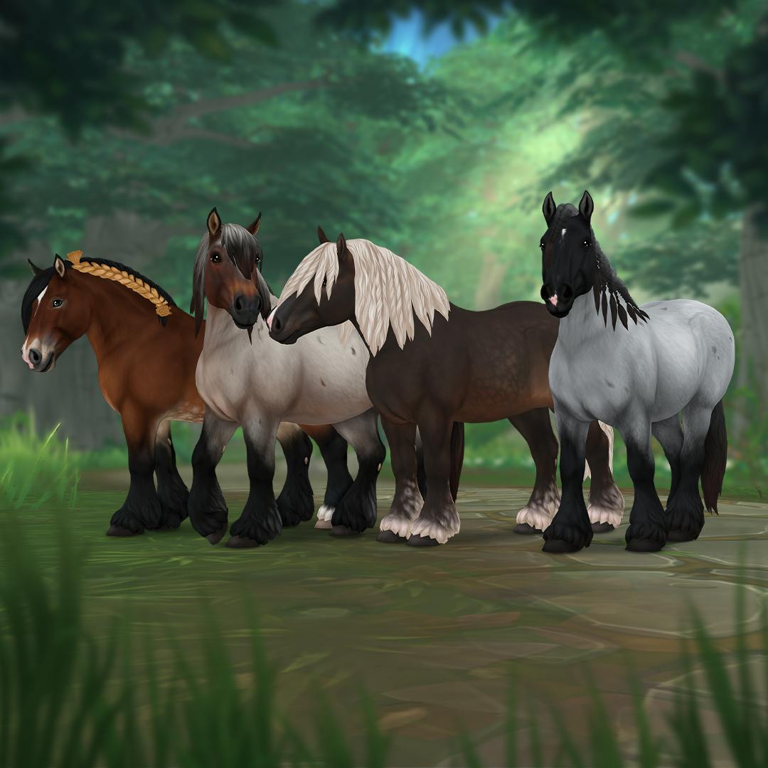 horses in sso