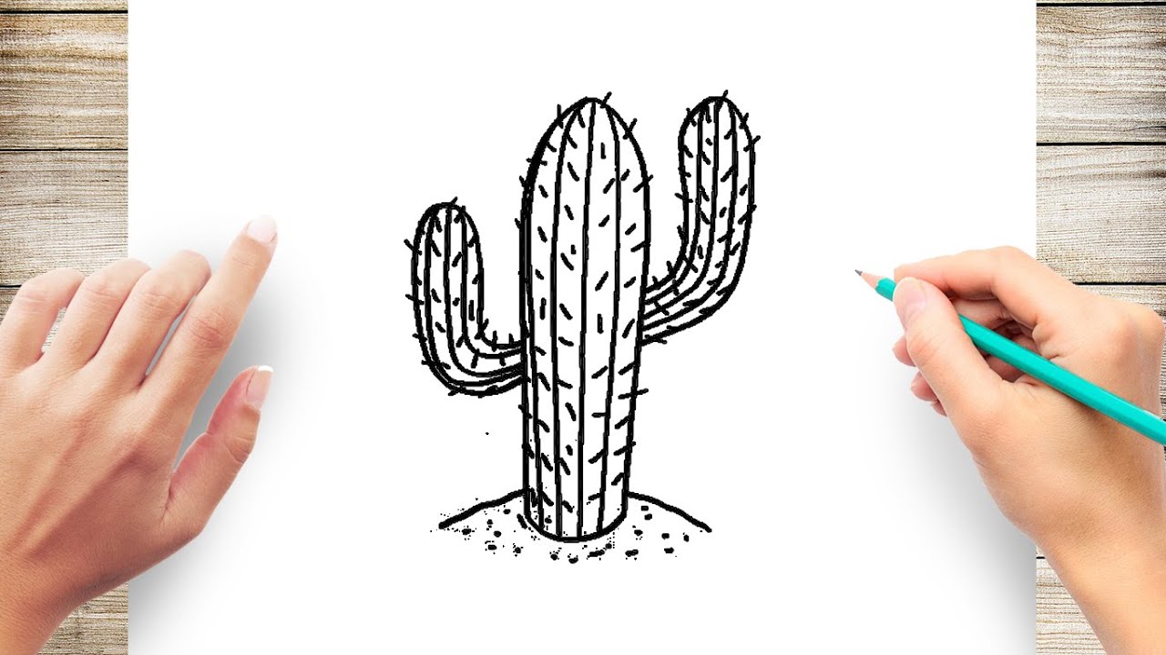 realistic cactus drawing