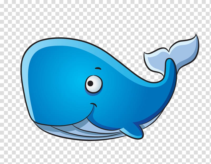 clip art whale