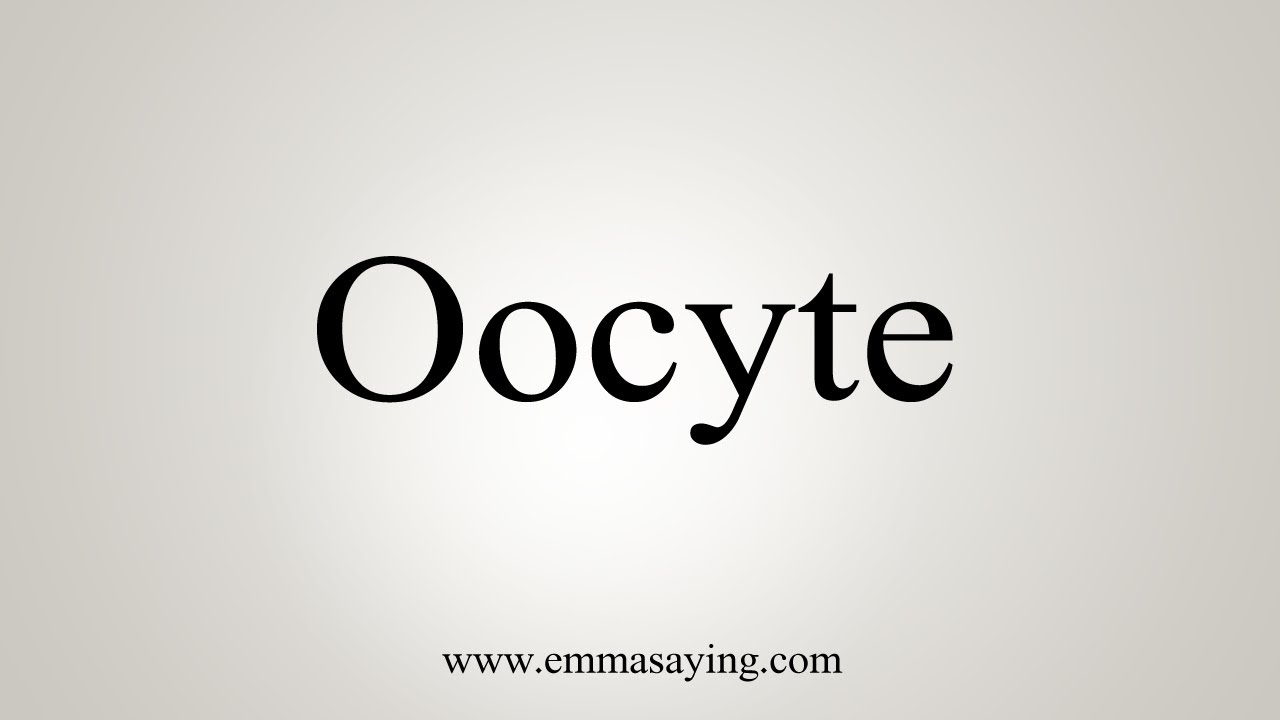 how to pronounce oocyte