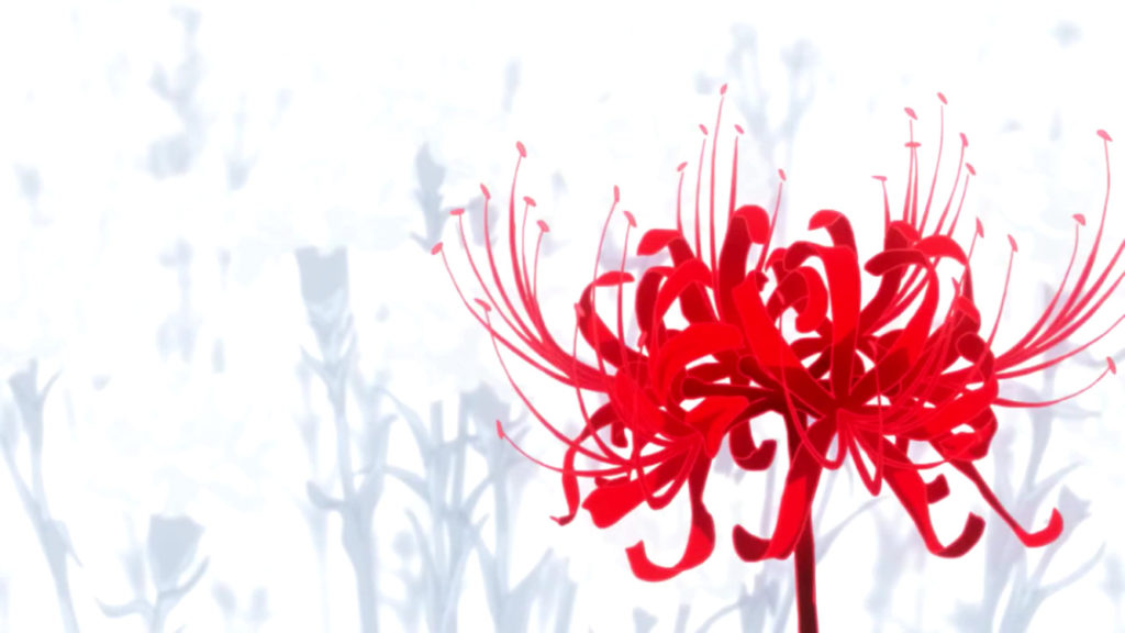 red spider lily meaning