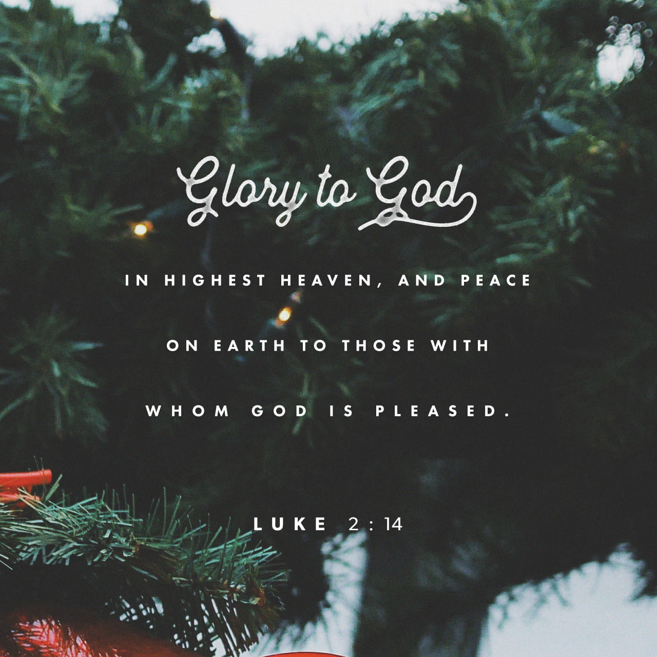 luke 14 niv