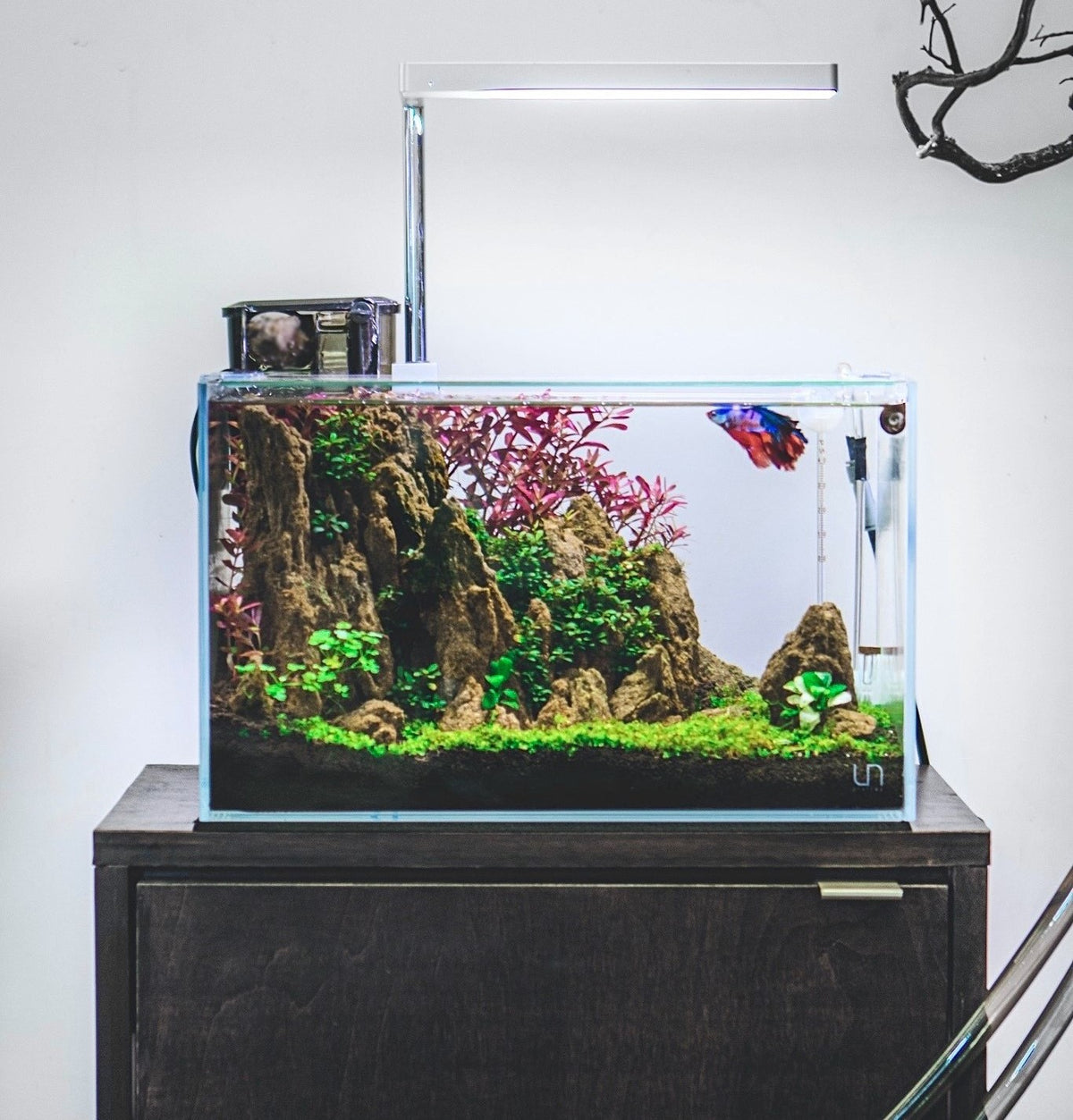 good betta fish tanks