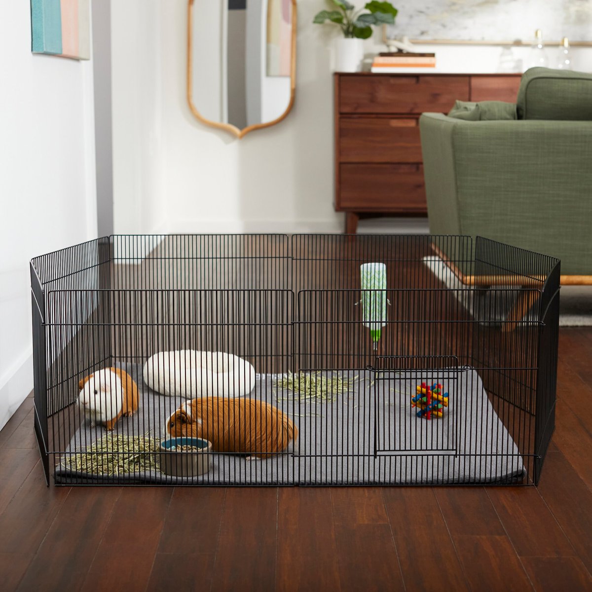 best guinea pig cage for 2