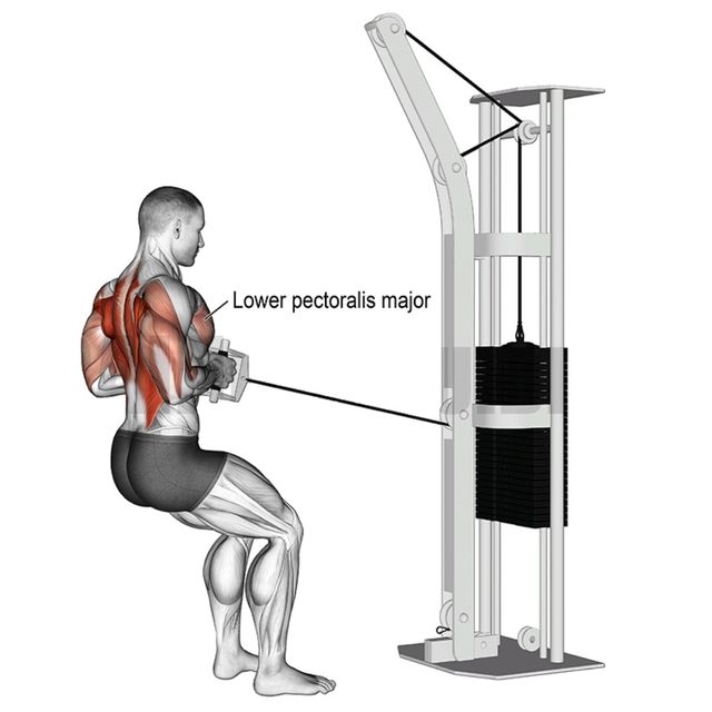 standing cable row