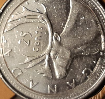 2011 canadian quarter