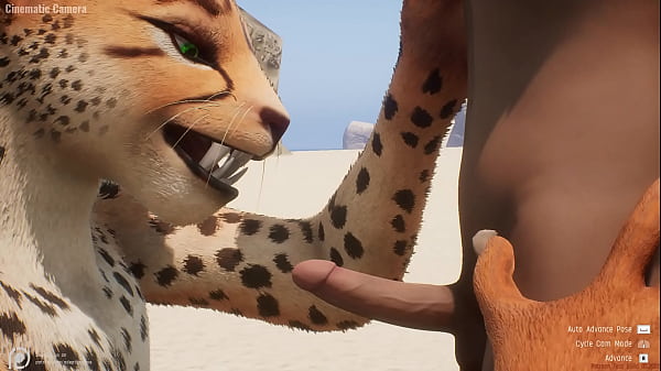 cheetah porn