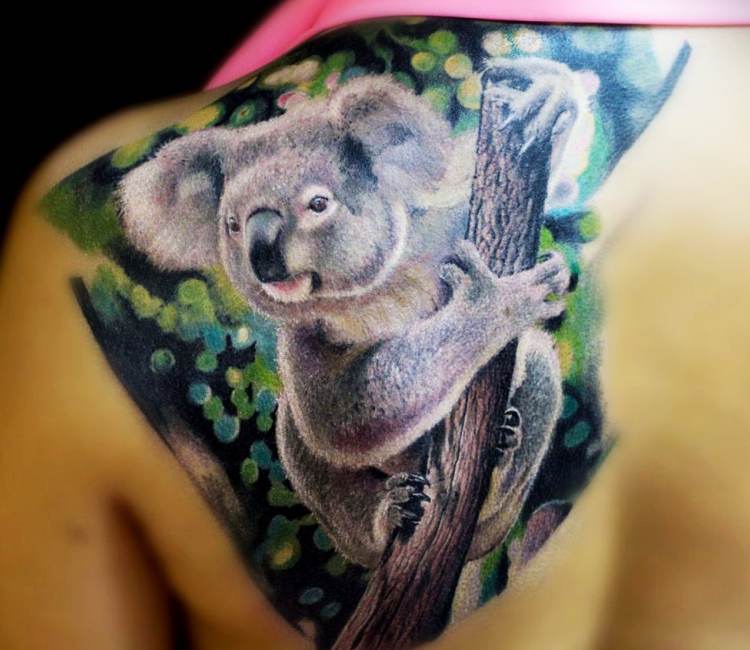 koala bear tattoo