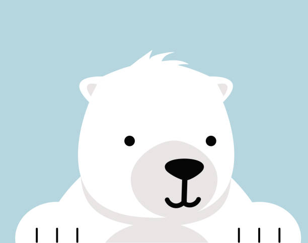 cute polar bear cartoon