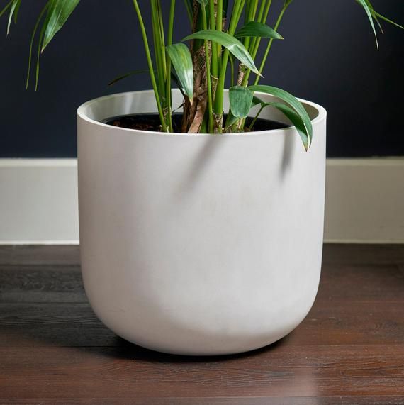 white ceramic flower pots