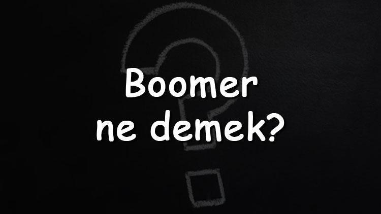 okey boomer ne demek