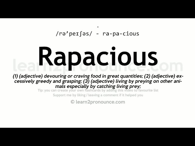 rapacious meaning