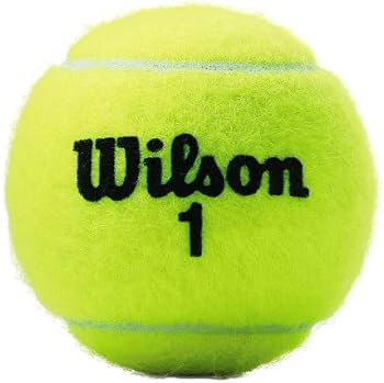 wilson tennis ball price