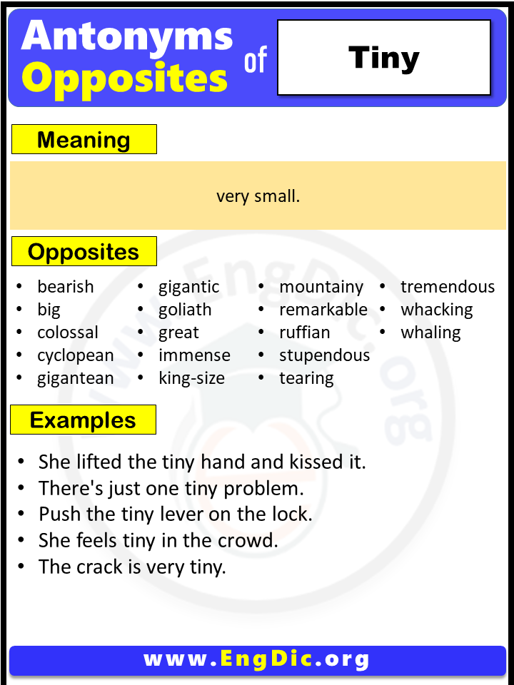 tiny antonyms in english