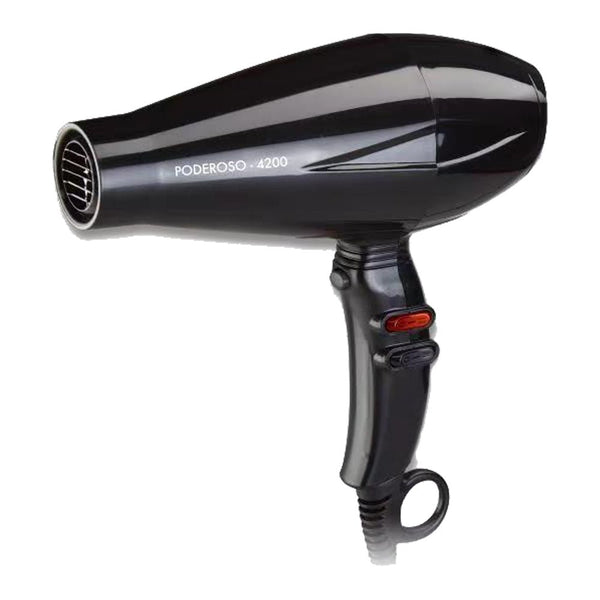 2500 watt hair dryer