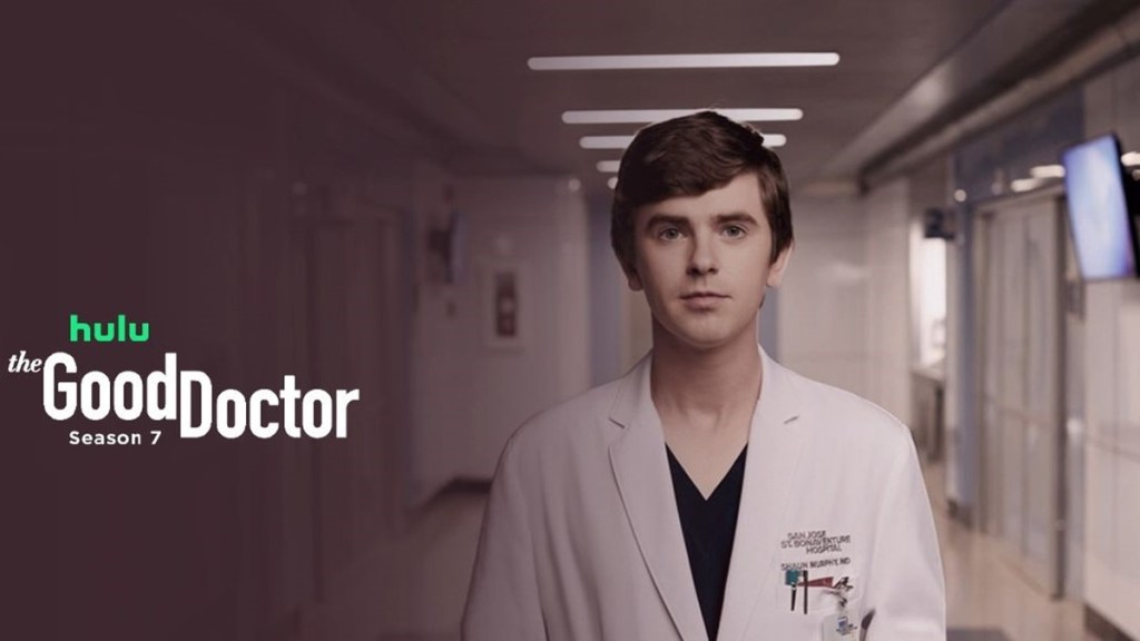 the good doctor net