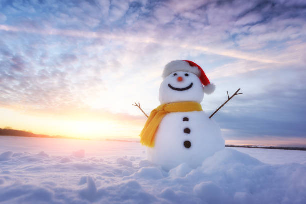 happy snowman pictures