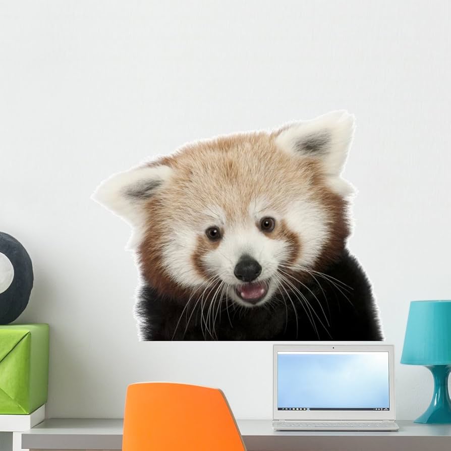 red panda wall stickers