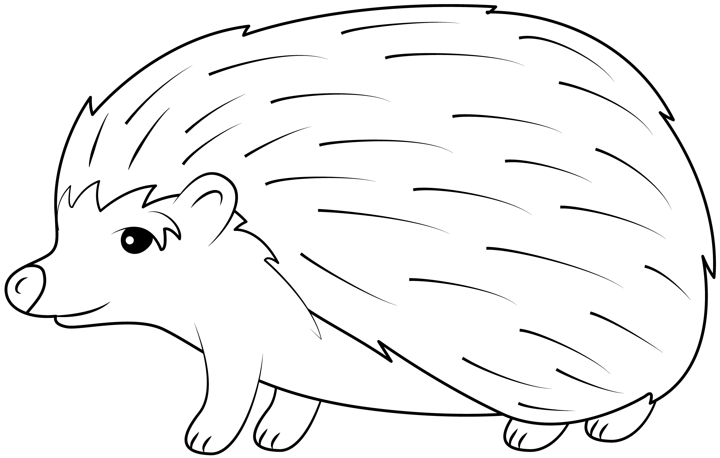 template of a hedgehog