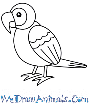 parrot drawing for kids