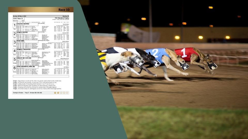 greyhound race results