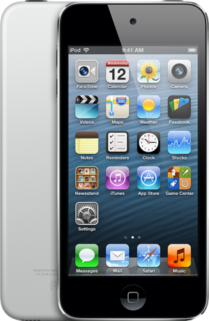 ipod touch 5 screen size