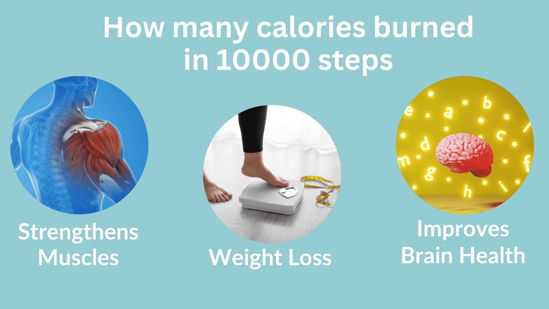 10000 steps a day calories burned