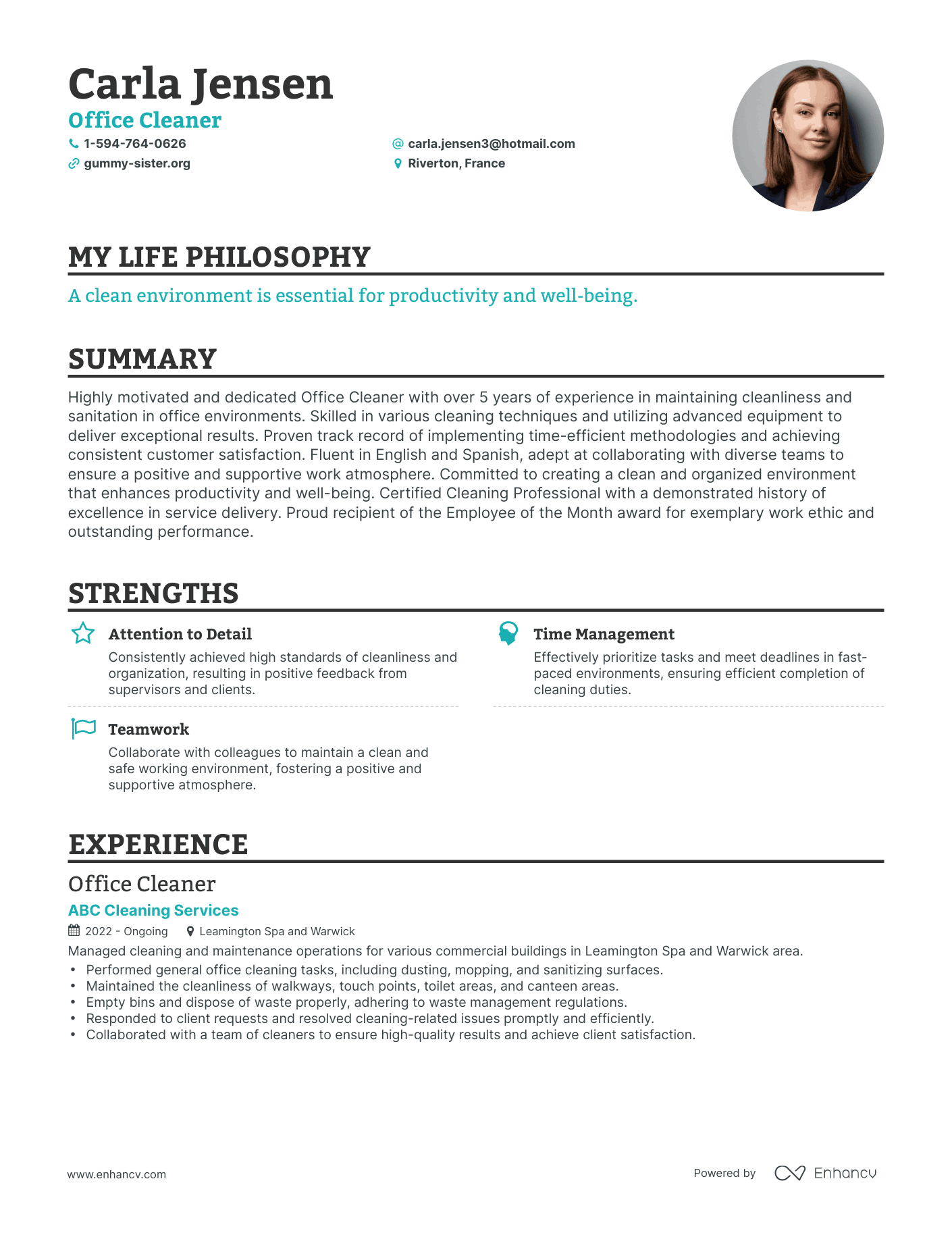 cleaner resume examples