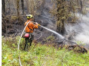 jasper national park fire ban