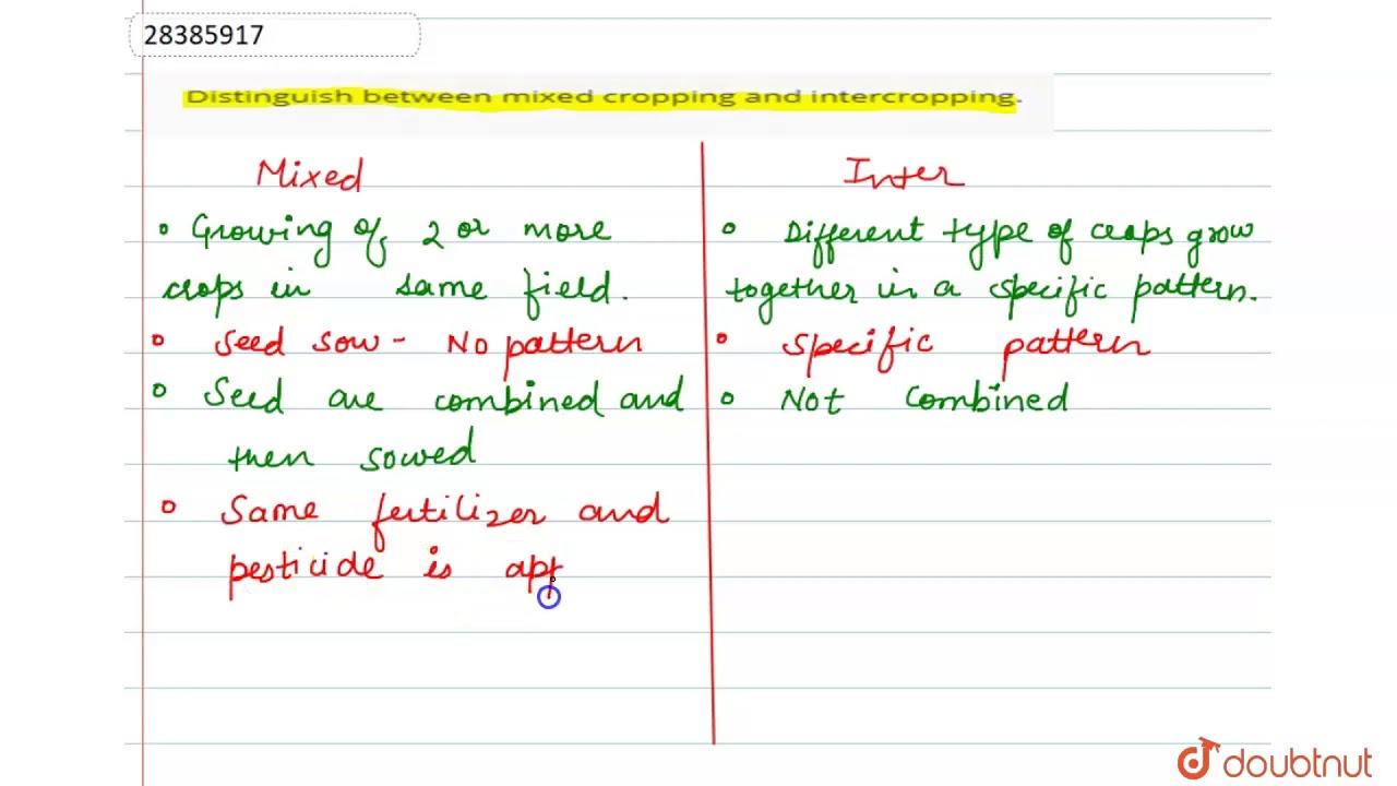 difference between mixed cropping and intercropping class 9