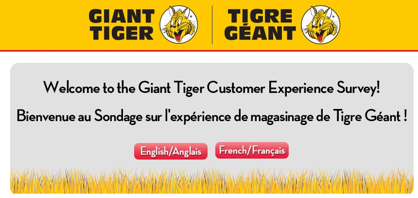 www.gianttiger.com/survey