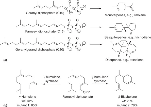 diphosphate