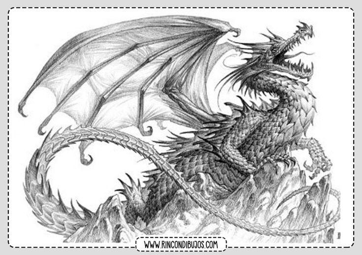 dibujos de dragones