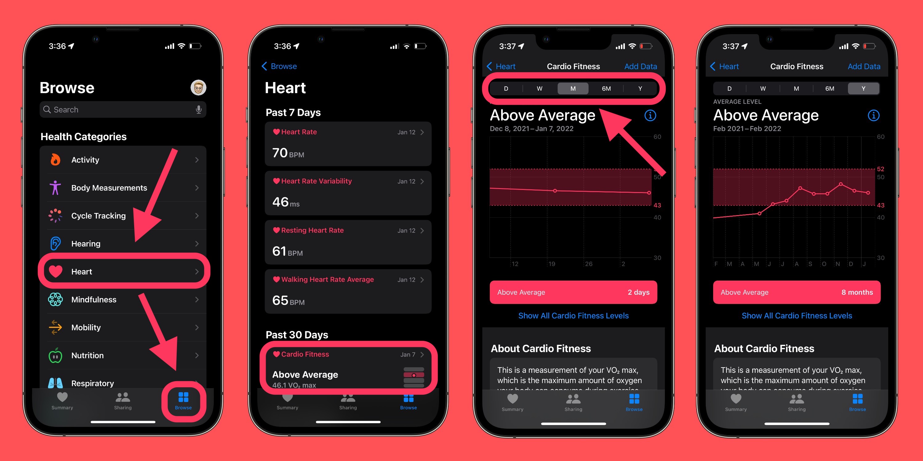 how to check your vo2 max on apple watch