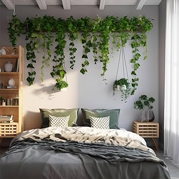 vines for bedrooms