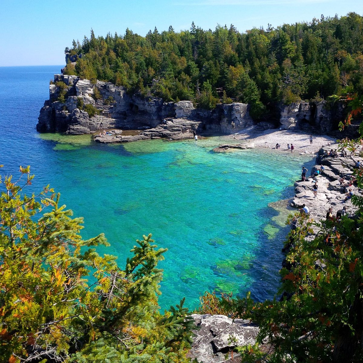 tobermory canada hotels