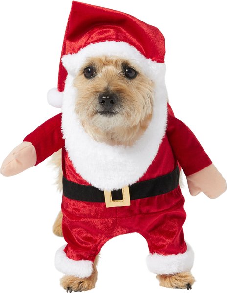 dog santa suit